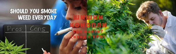 ешки Арсеньев