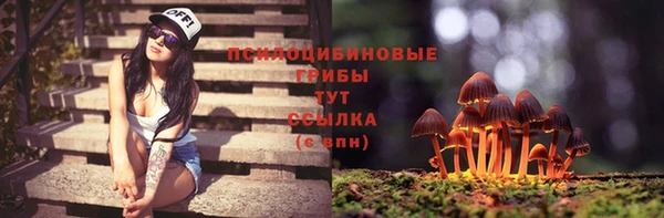мяу мяу мука Алексеевка