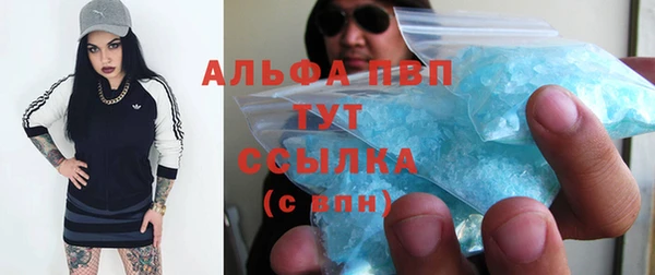 трава Аркадак