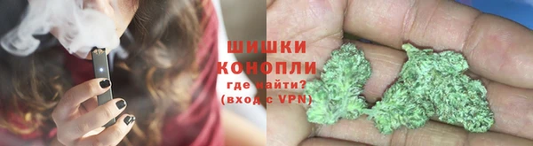 ешки Арсеньев