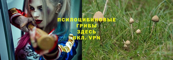 ГАЛЛЮЦИНОГЕННЫЕ ГРИБЫ Армянск