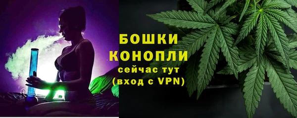 ГАЛЛЮЦИНОГЕННЫЕ ГРИБЫ Армянск