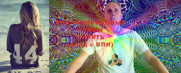 ешки Арсеньев