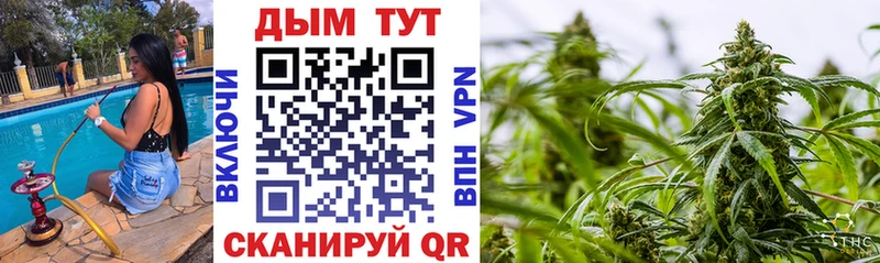 Марихуана LSD WEED что такое кракен вход Киреевск